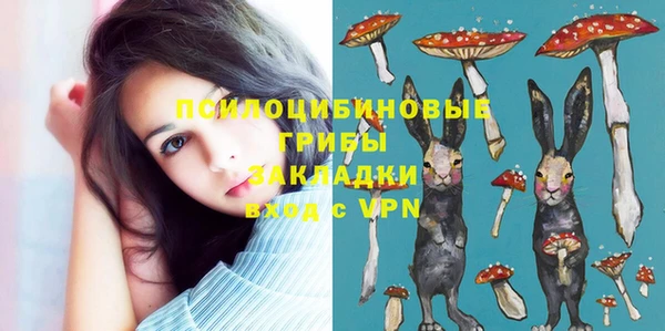 а пвп мука Мегион