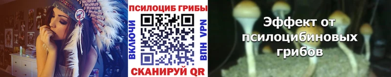shop формула Билибино Псилоцибиновые грибы мухоморы